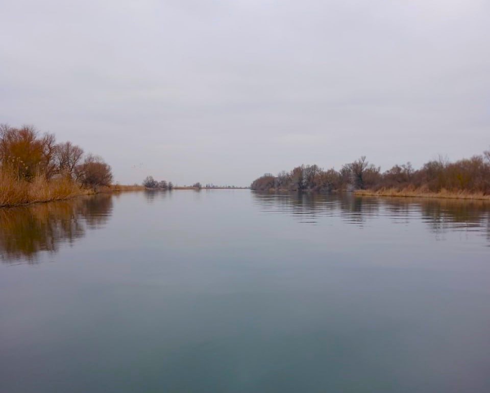 Весняний нерест риб в озерах Дністра на Одещині під загрозою: в чому причина  «фото»