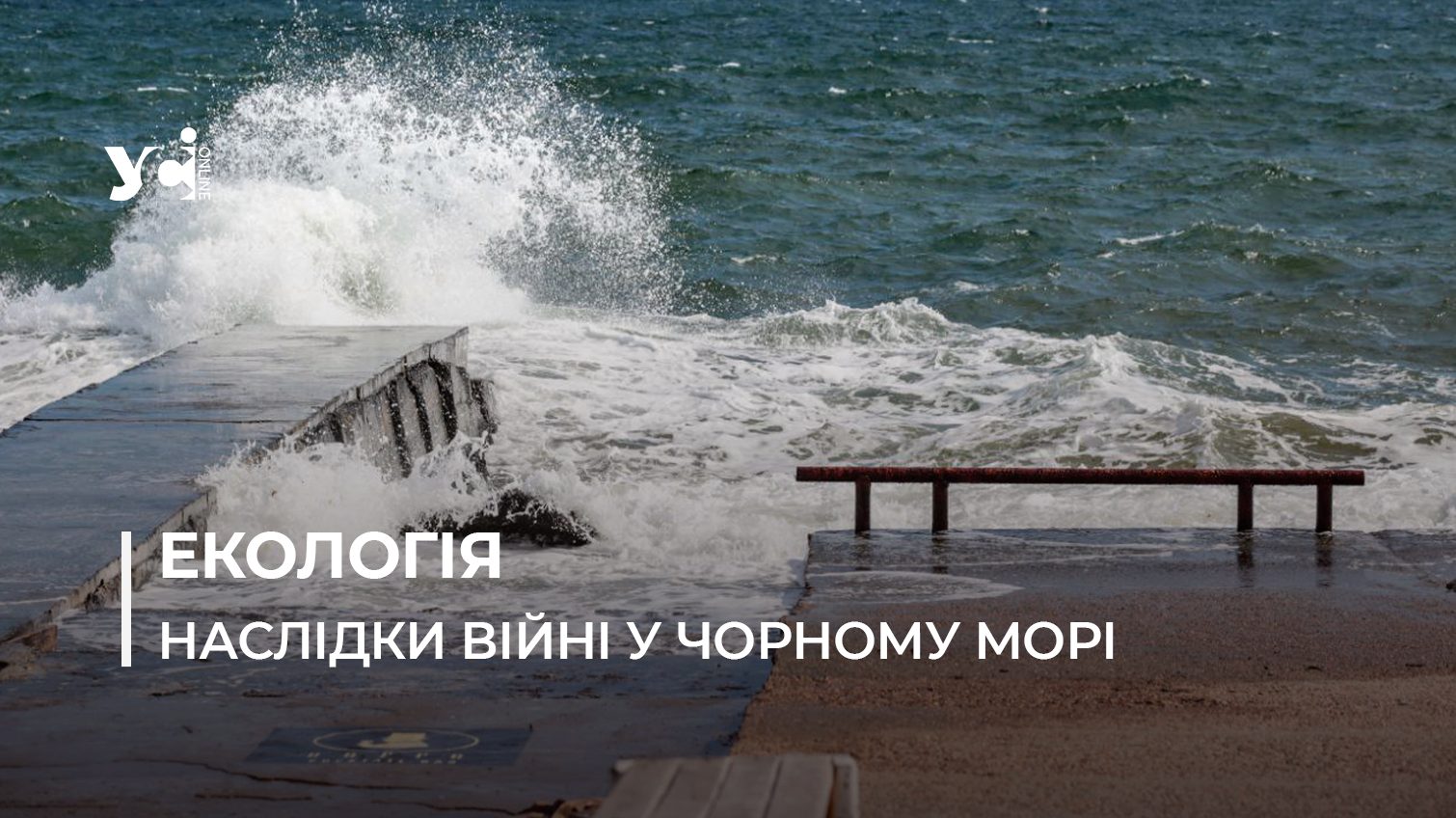 «Це не випадковість»: як екологи досліджують наслідки бойових дій у Чорному морі і документують екоцид «фото»