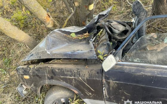 На Одещині п’яна жінка за кермом потрапила у ДТП та вбила співмешканця «фото»