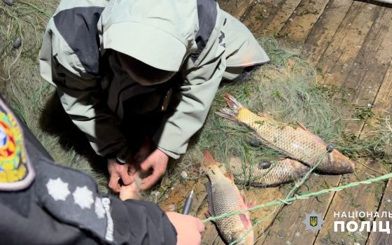 На Дністрі браконьєри наловили риби на значний штраф або обмеження волі (фото) «фото»