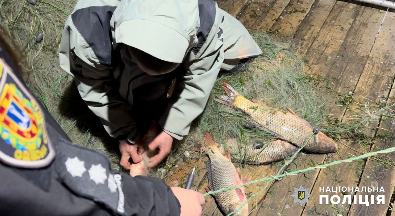 На Дністрі браконьєри наловили риби на значний штраф або обмеження волі (фото) «фото»