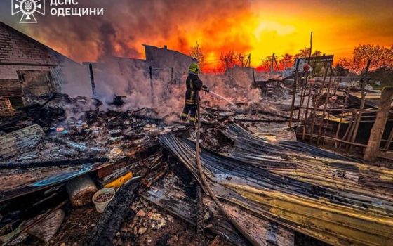 Під Одесою через велику пожежу загинули понад 10 тварин (фото, відео) «фото»