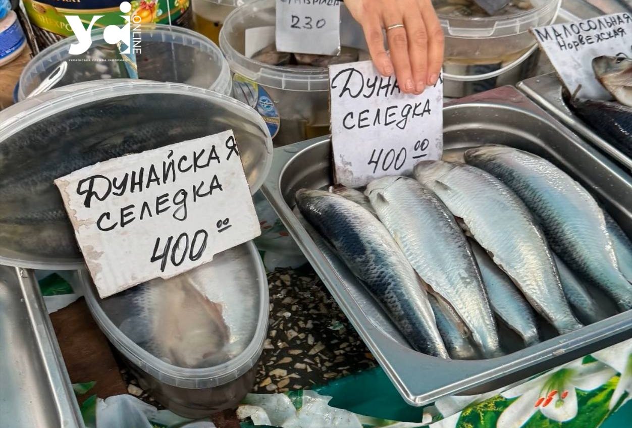 Дунайка по 400: улюблений делікатес одеситів лише дорожчає (фотофакт) «фото»