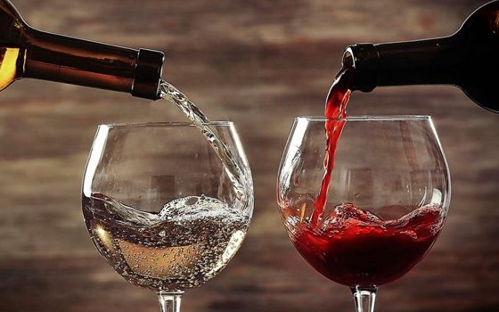 В Одеській області аргентинці вироблятимуть крафтове вино «фото»