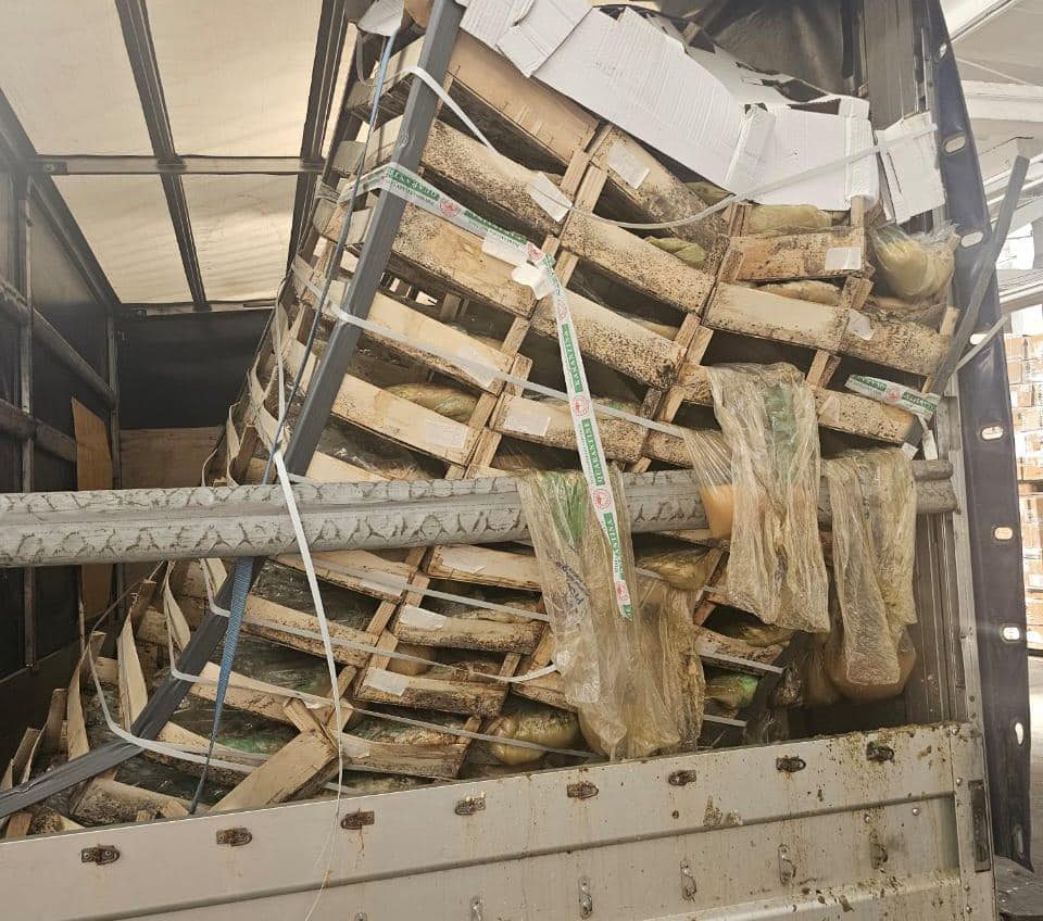 До Одещини намагалися провезти майже тонну небезпечних овочів (фото) «фото»