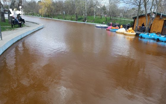 Таємниця брудно-жовтої води у ставках в одеському парку Перемоги: чому вода змінила колір? (фото) «фото»