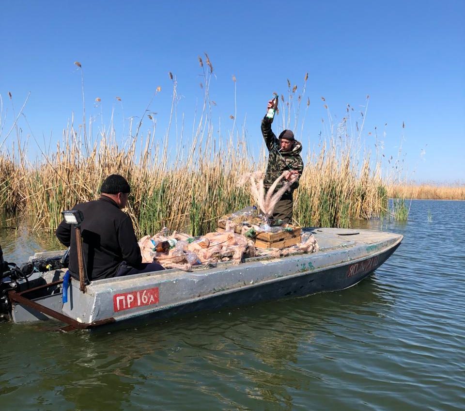 На озері на півдні Одещині екоінспектори встановили нерестові гнізда для риби (фото) «фото»