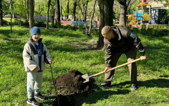 В одеському парку Шевченка висадили 40 дубів (фото) «фото»