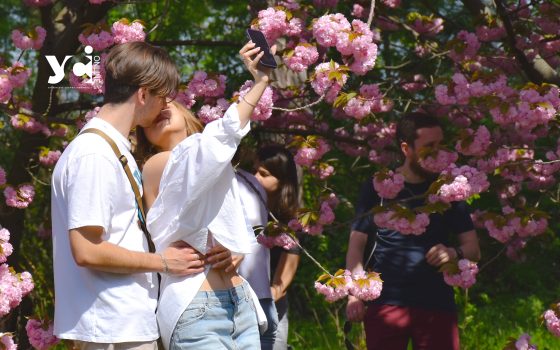 Тепла весна: в одеському Ботанічному саду – сезон бурхливого цвітіння сакури (фото) «фото»