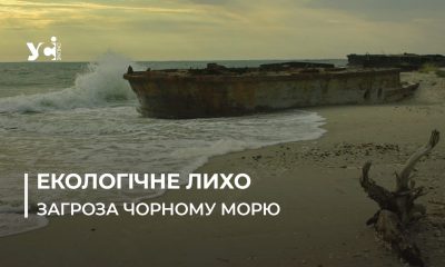 Токсичні відкладення на дні, масова загибель дельфінів та мідій: чим загрожує війна екосистемі Чорного моря (фото, відео) «фото»