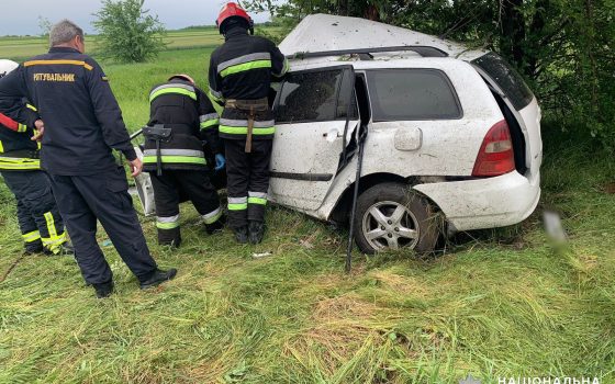 На трасі Одеса – Рені водійка врізалася в дерево та загинула: поліція з’ясовує обставини (фото) «фото»