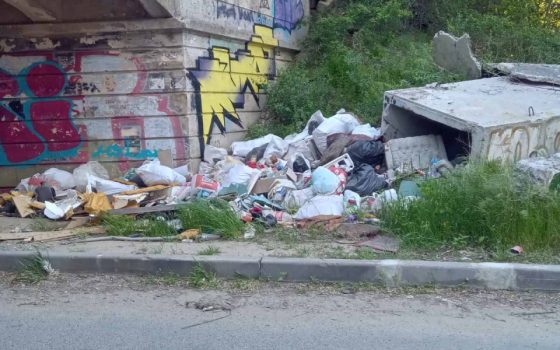 Одесити звернулися до екоінспекції з проханням ліквідувати сміттєзвалище на Дачі Ковалевського «фото»