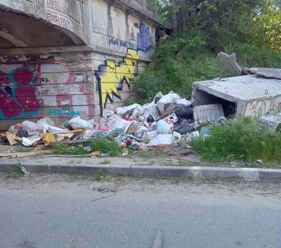 Одесити звернулися до екоінспекції з проханням ліквідувати сміттєзвалище на Дачі Ковалевського «фото»