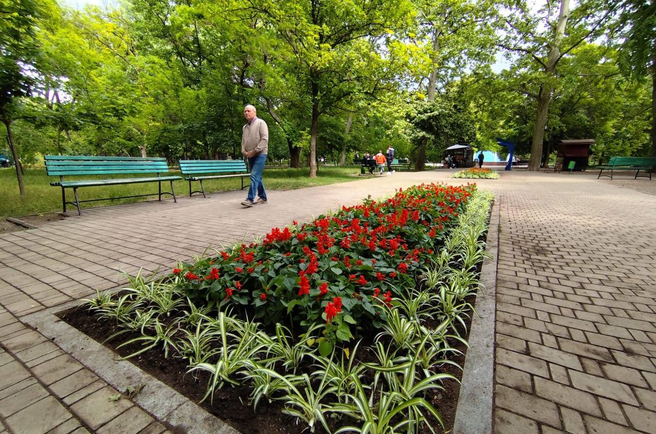 Озеленювачі висадили 24 тис. квітів на клумбах Одеси (фото) «фото»