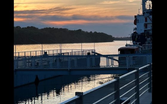 У воді на Дунаї виявили токсичні забруднювачі «фото»