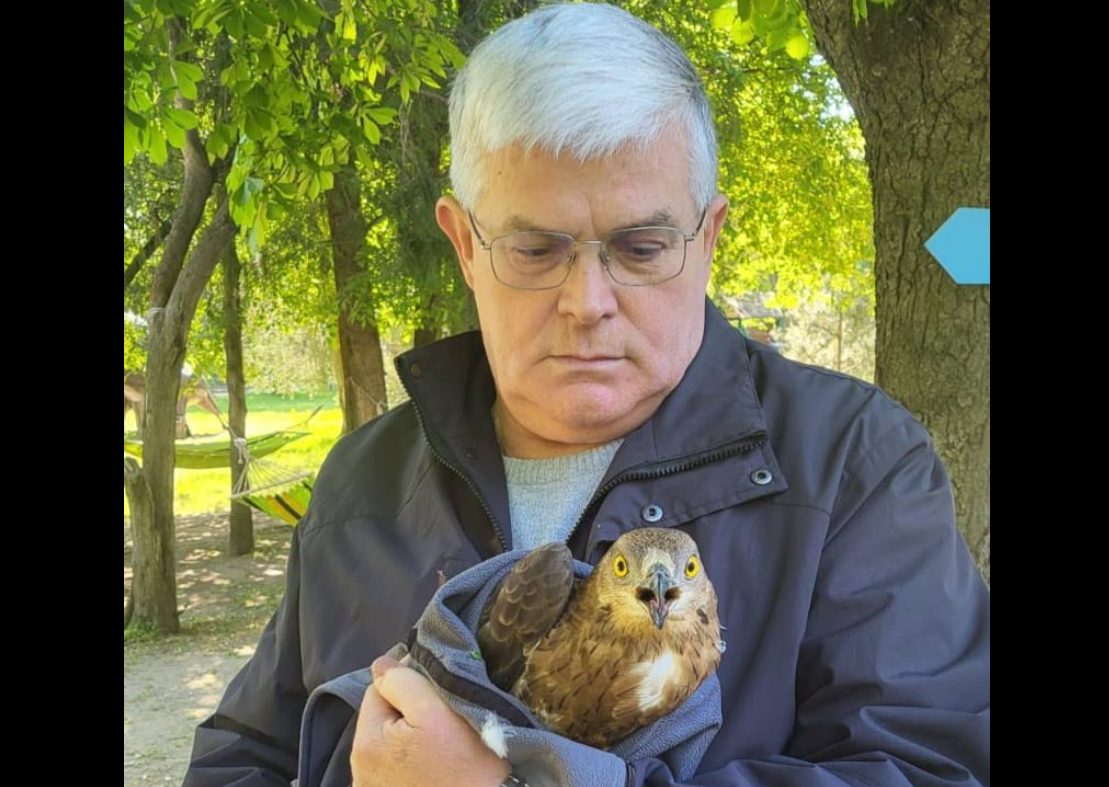 В Одеському зоопарку врятували пораненого хижого птаха (фото) «фото»