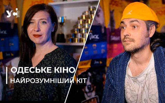 Обіцяють хіт: в Одесі знімають фільм про те, як кіт взяв на роботу людину (відео) «фото»