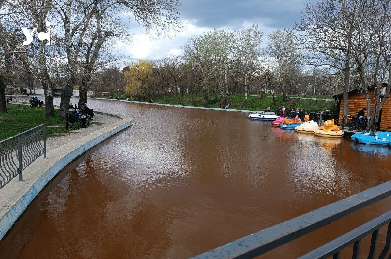 У мерії Одеси пояснили причину потемніння води в ставках парка Перемоги «фото»