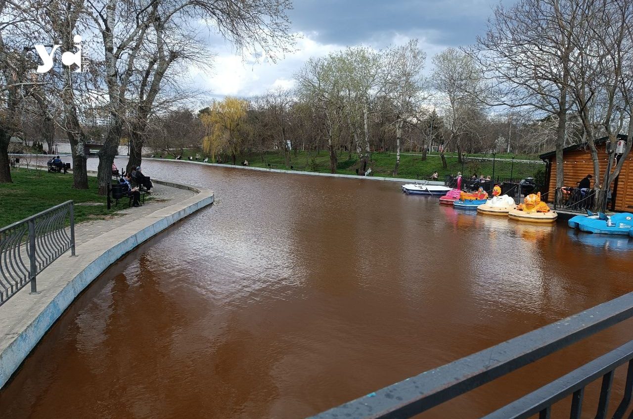 У мерії Одеси пояснили причину потемніння води в ставках парка Перемоги usionline.com У мерії Одеси пояснили причину потемніння води в ставках парка Перемоги «фото»