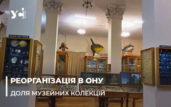 Через реорганізацію в Одеському університеті унікальні експонати опинились під загрозою (відео) «фото»