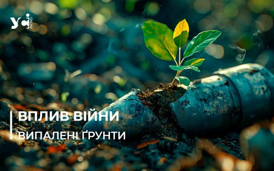 Мертві землі: війна випалює українські ґрунти та нищить лісові зони півдня (фото, відео) «фото»