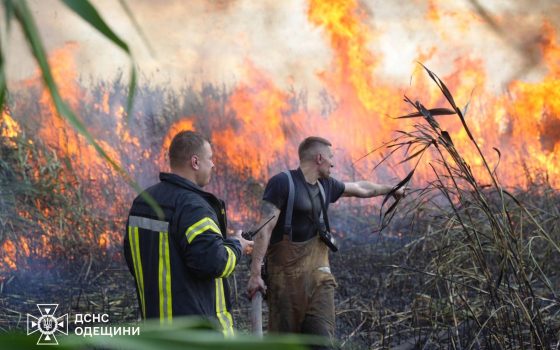 Масштабна пожежа на полях зрошення в Одесі: понад шість годин рятувальники гасили вогонь (фото, відео) «фото»