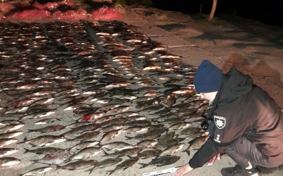 Незаконно нарибалили на 600 тисяч гривень: на Одещині судитимуть браконьєрів (фото) «фото»