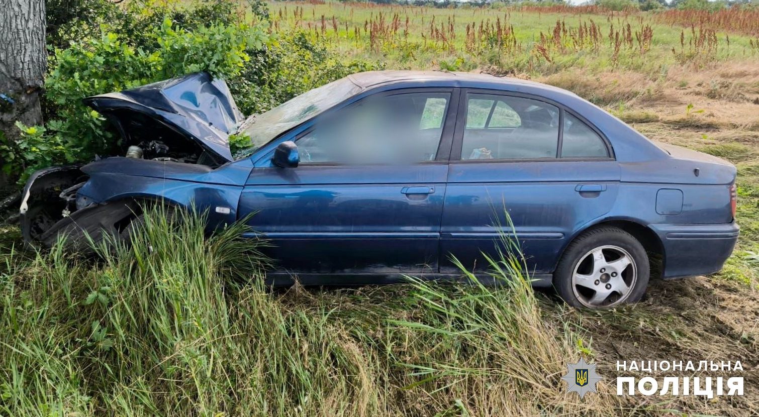 Автівка влетіла у дерево: смертельна ДТП сталася у Білгород-Дністровському районі (фото) «фото»