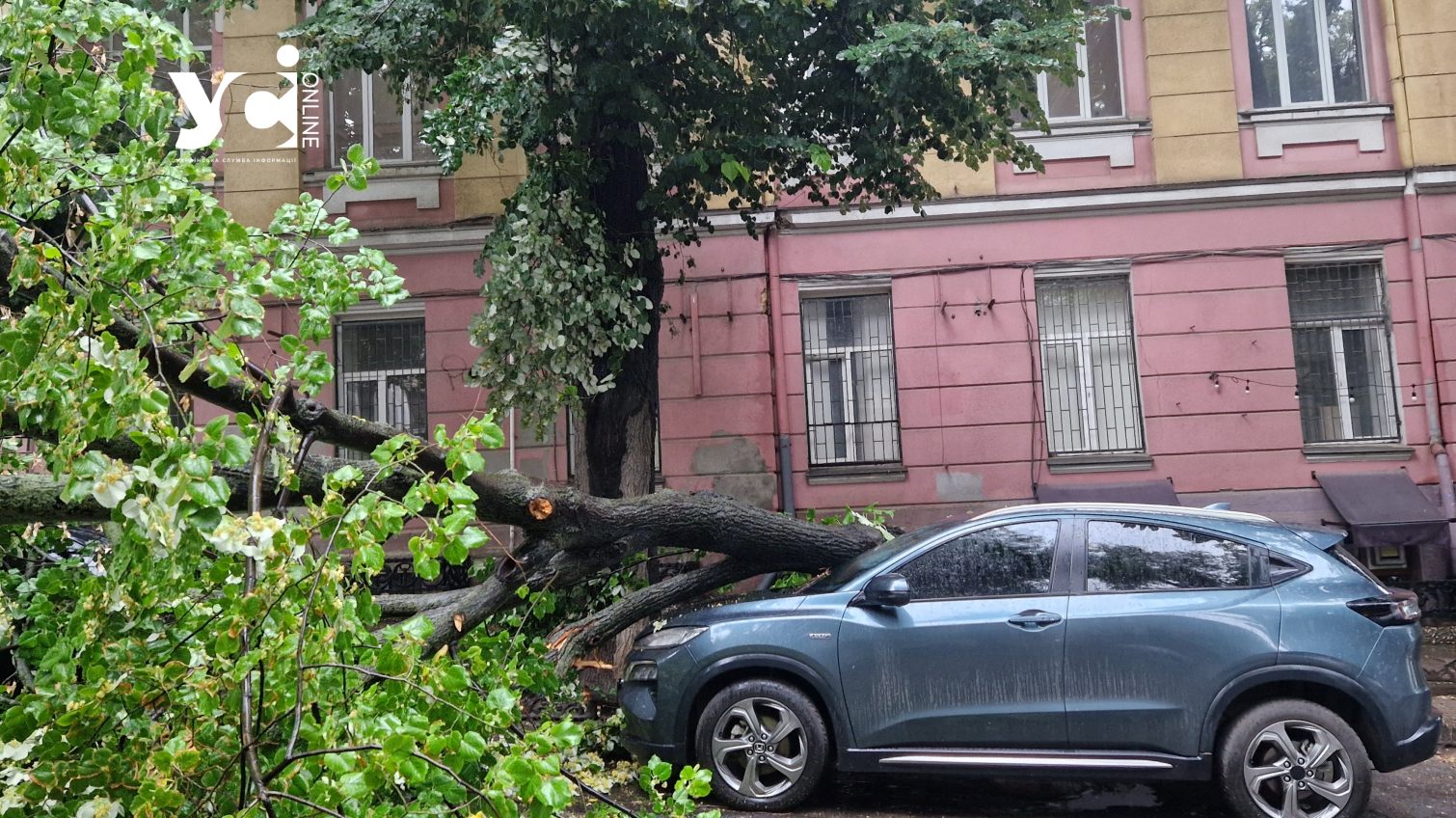 Негода в Одесі: на Дерибасівській та Льва Толстого впали дерева, постраждали автівки (фото) «фото»