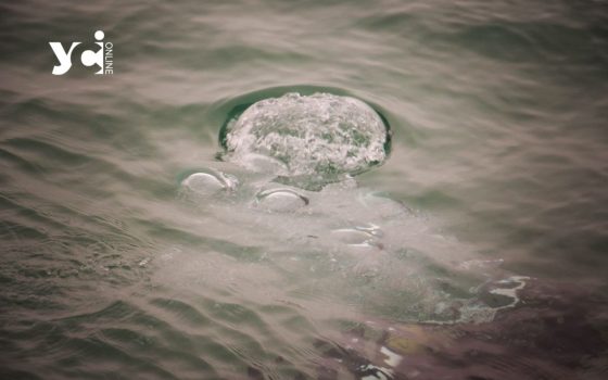 На Одещині потонув чоловік «фото»