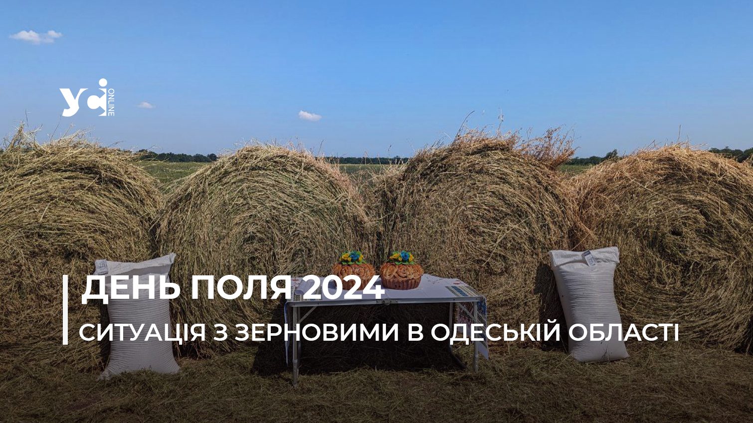 Аграрна Одещина: яким цього року буде врожай, що по бронюванню та продовольчій безпеці (фото) «фото»