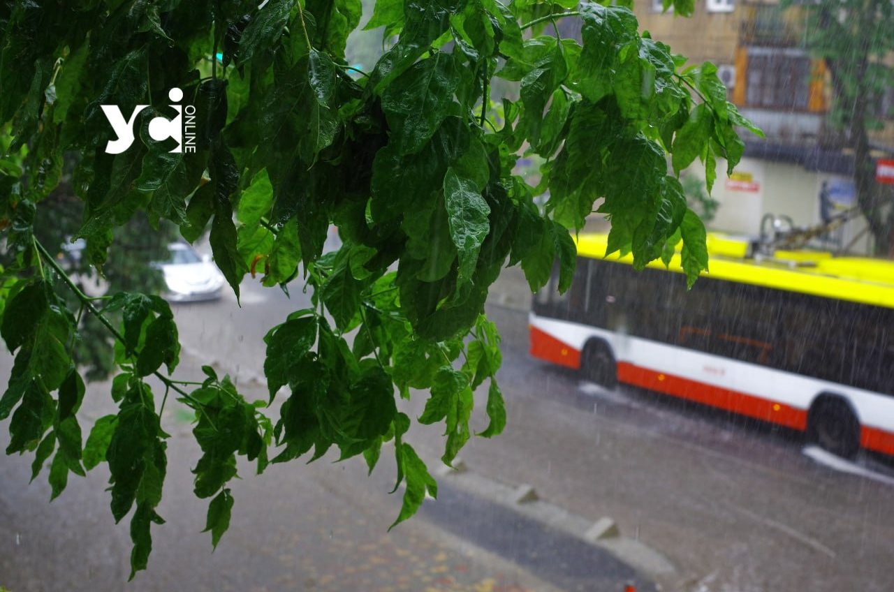 Одесу накрила злива: як містяни зустріли літній дощ (відео) «фото»