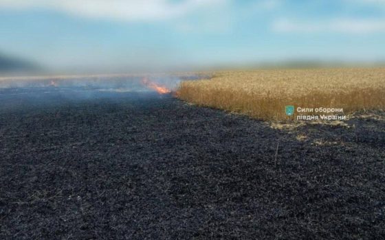 Росіяни обстріляли Одещину ракетою з касетним зарядом – підпалили поле (фото) «фото»