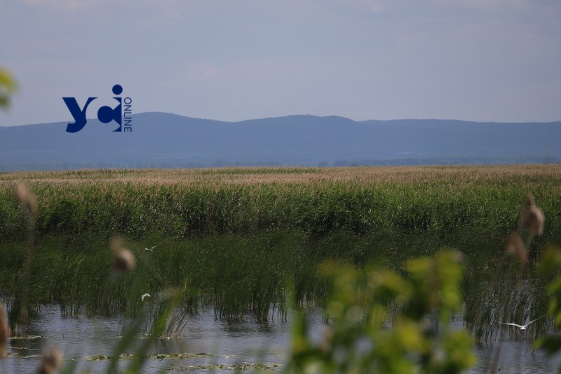 В Одесі очікується спекотна погода та мінлива хмарність 6 липня «фото»