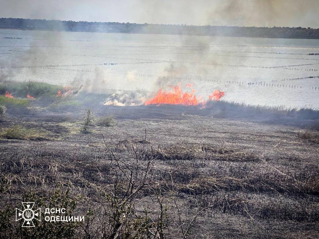 На Одещині очікують надзвичайний рівень пожежної небезпеки «фото»