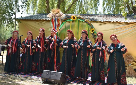 В селі на Одещині провели благодійний фестиваль на підтримку ЗСУ: зібрали кошти (фото) «фото»