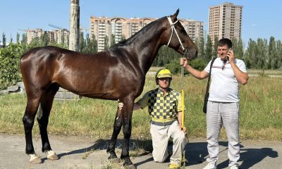 Кінь з Одещини вперше взяв участь у перегонах в Києві та одразу вийшов в трійку лідерів (фото) «фото»