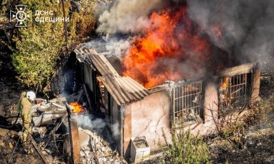 В Одеській області вирують степові пожежі: горять будинки й дачі (фото) «фото»