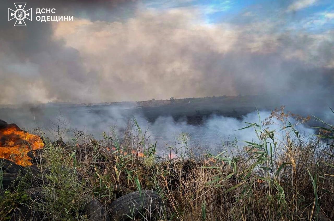 Під Одесою біля Конюшинового мосту разгорілася сильна пожежа «фото»