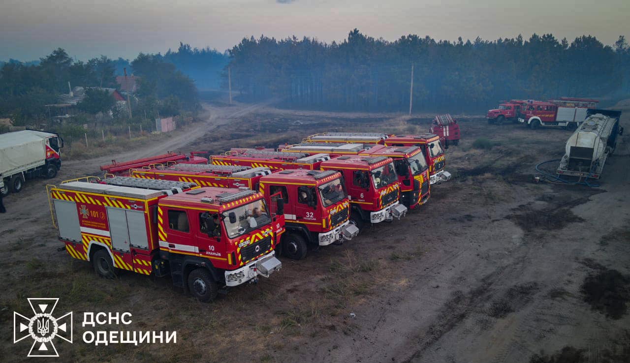 Одеські рятувальники допомогли миколаївським колегам ліквідувати велику пожежу в заповіднику (фото) «фото»