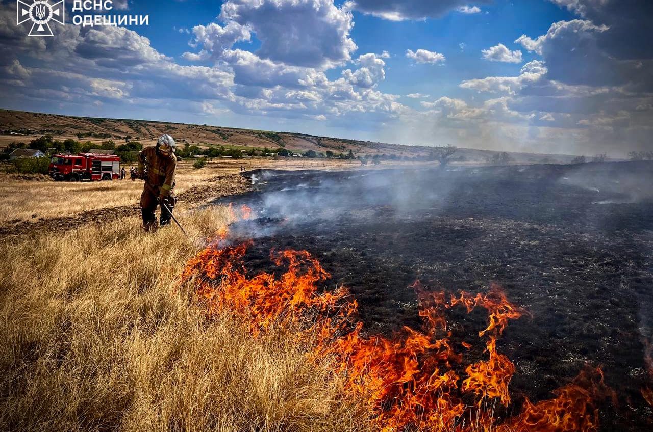 Масштабна пожежа на Одещині завдала збитків екології на понад 170 млн гривень «фото»