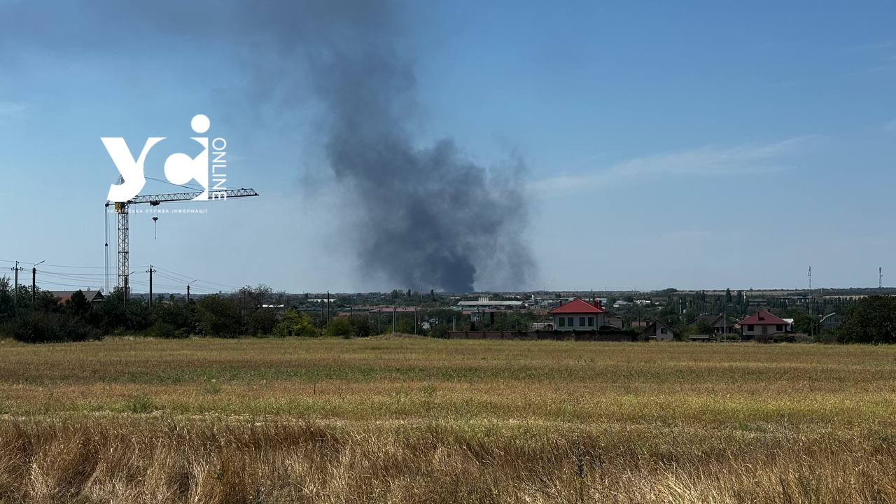 Під Одесою спалахнула суха трава та сміття «фото»