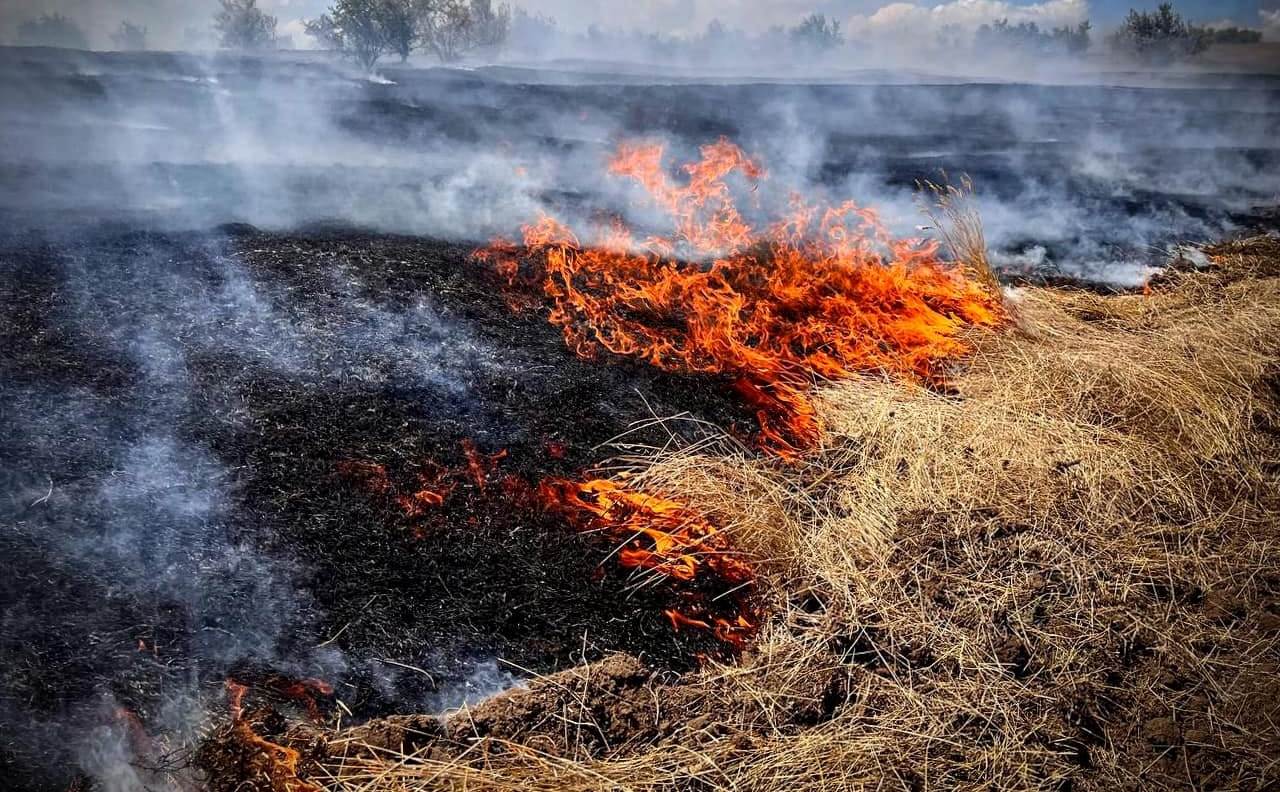 Пожежа під Одесою завдала збитків на майже 10 мільйонів гривень «фото»