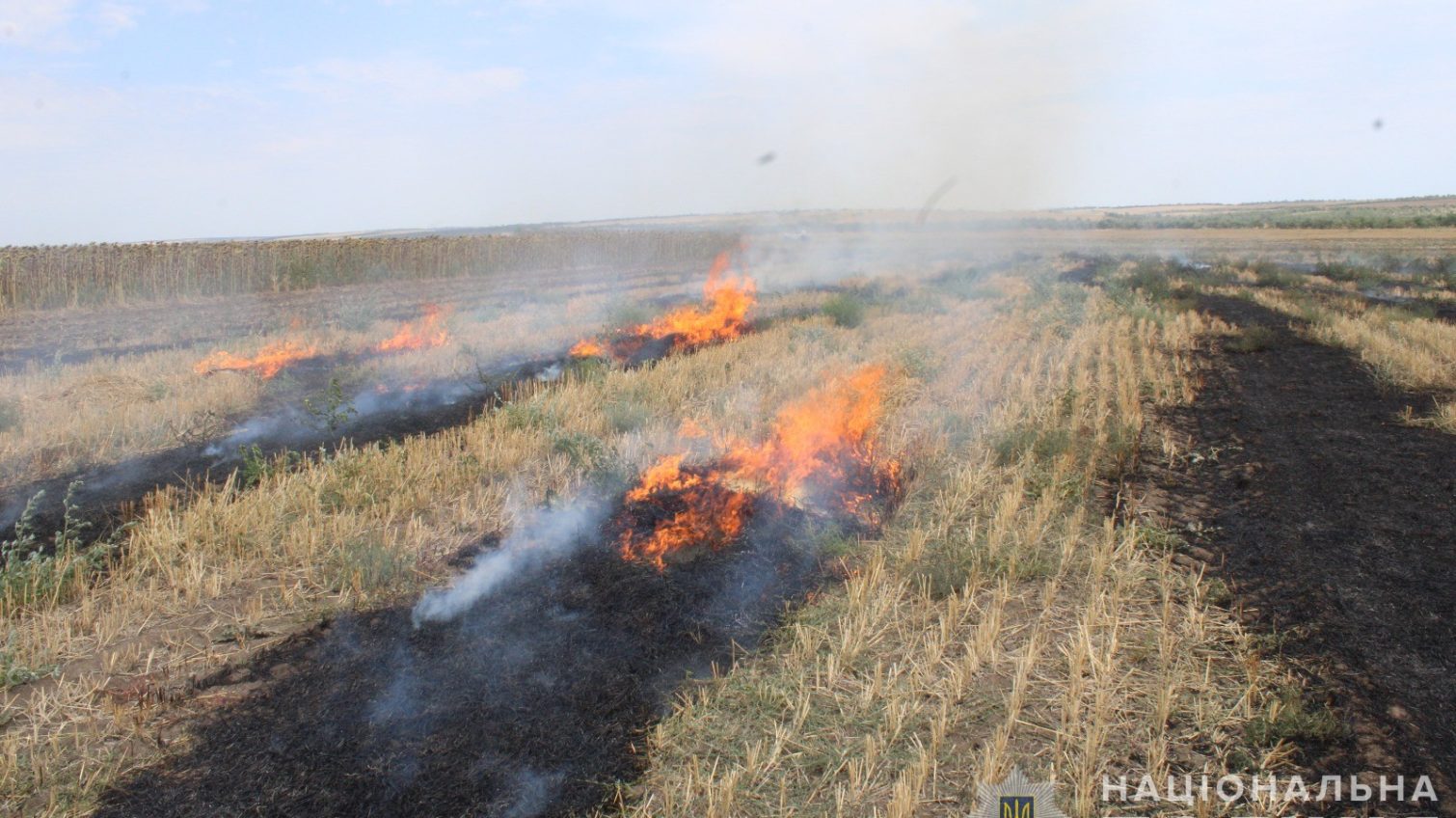 На Одещині викрили паліїв полів – їм загрожує тюремний строк (фото) «фото»