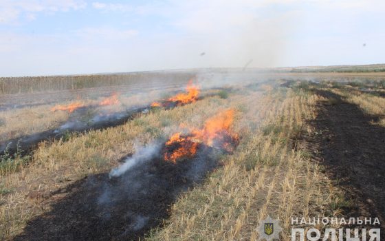 На Одещині викрили паліїв полів – їм загрожує тюремний строк (фото) «фото»