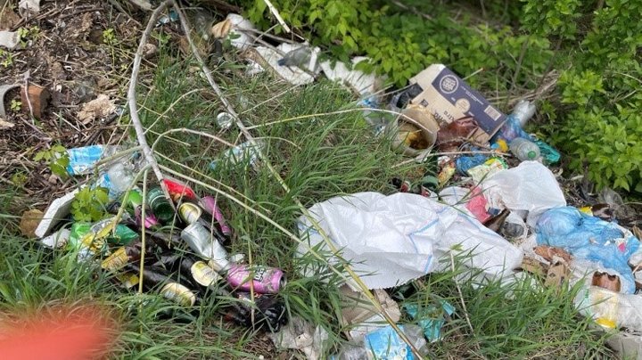 Величезне сміттєзвалище влаштували під Одесою місцеві жителі (фото) «фото»