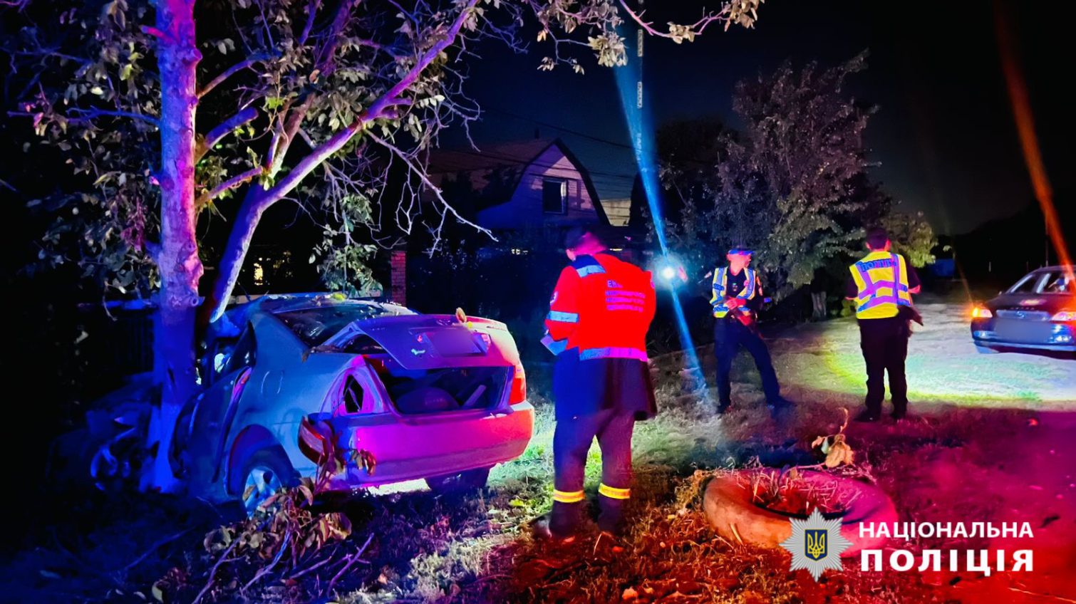 Під Великодолинським автівка влетіла в дерево – водій загинув, постраждала дитина (фото) «фото»