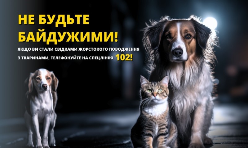 Живодерами, які поклали у пащу безпритульного собаки петарду, зайнялася поліція «фото»