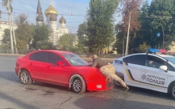 В Одесі водій, не зупинився на вимогу та прокатав на капоті представника ТЦК «фото»