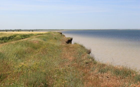 Понад 202 га ділянок прибрежних захисних смуг «Тузлівських лиманів» самовільно розорані: екологи звернулися до ОВА «фото»